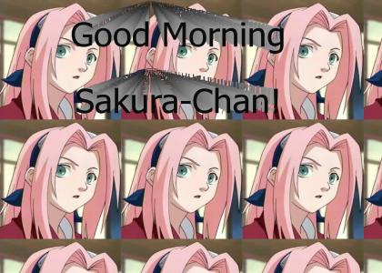 Good Morning Sakura-Chan!