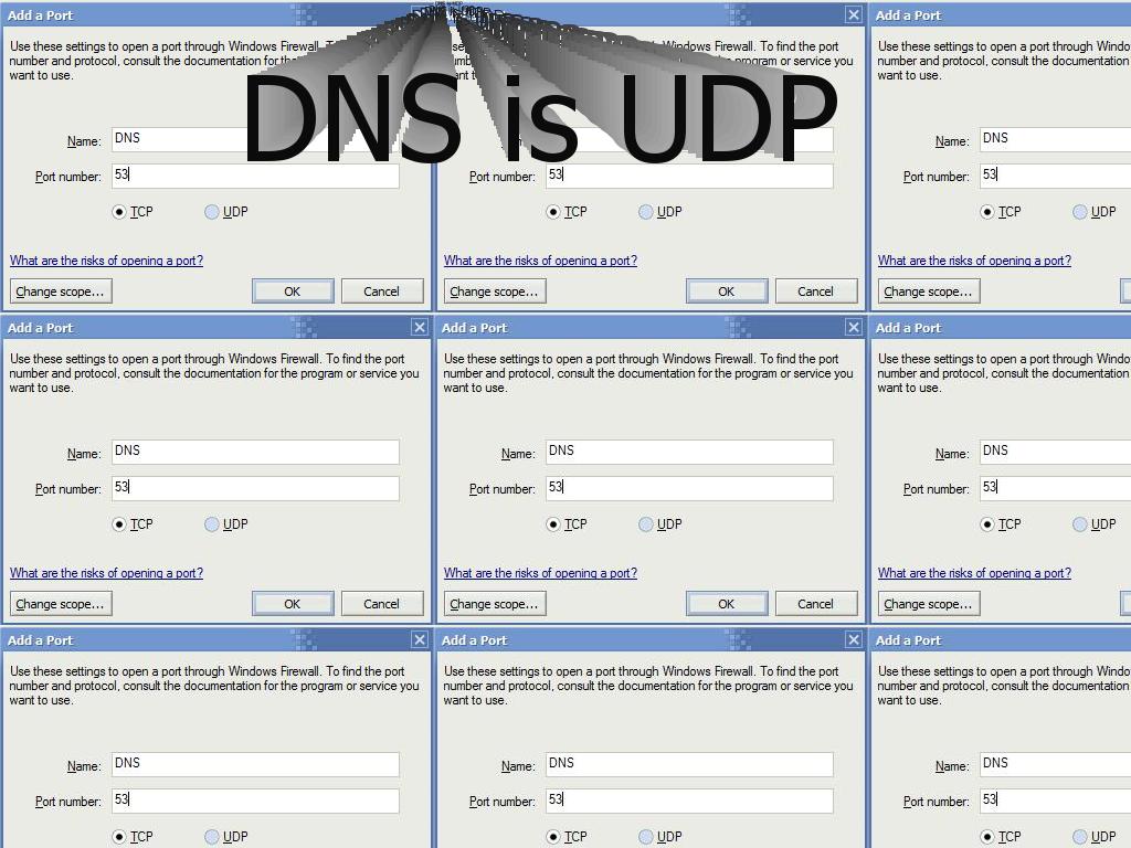 dnsisudp