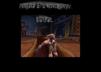 Night Elves are gay lol