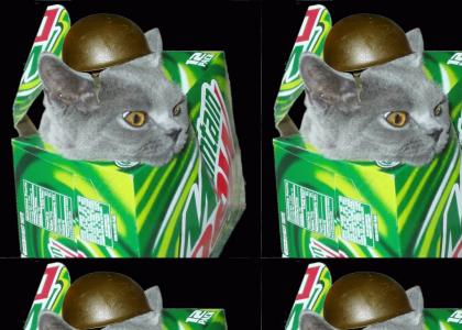NEDM Happy Cat joins Dew Army (Now with standard issue helmet!)