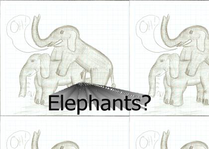 Elephants?