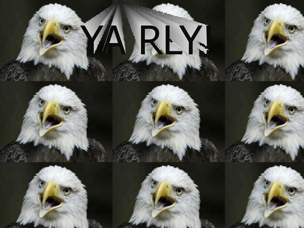 yarlyeagle