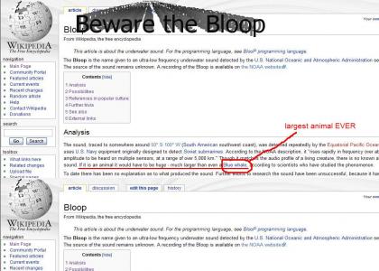 Beware the Bloop