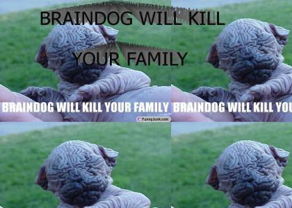 BRAINDOG WILL KILL YOUR FAMILY