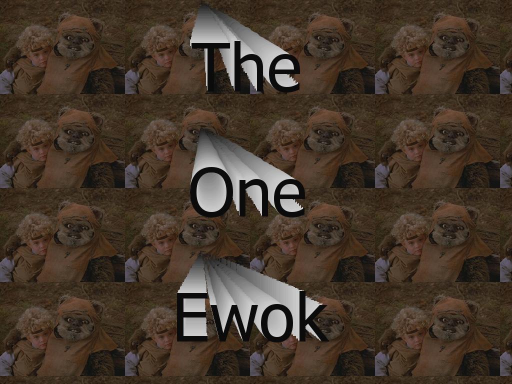 theoneewok