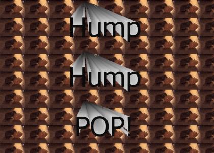 Hump Hump POP!