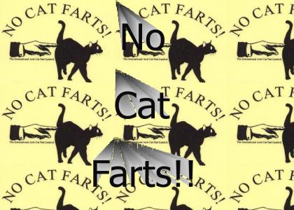 No Cat Farts