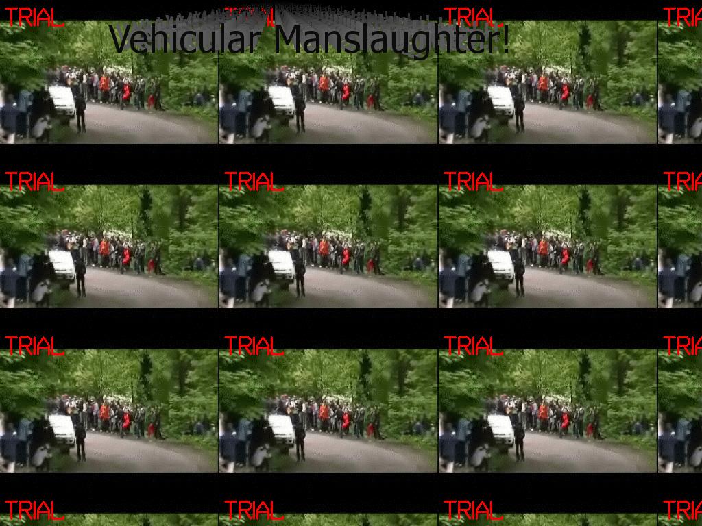 VehicularManslaughter