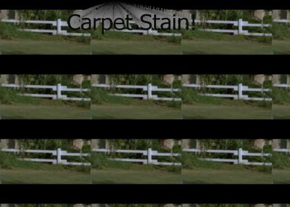Carpet Stain!