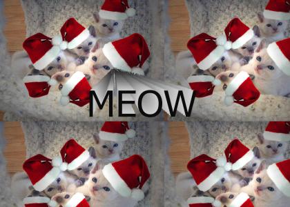 Carol of the Meows