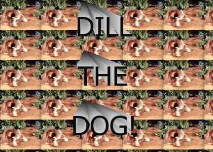 *Pant* I'M DILL THE DOG *pant* I'M A DOG CALLED DILL!