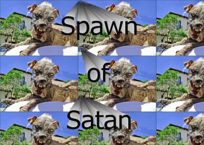 Evil Spawn of Satan!