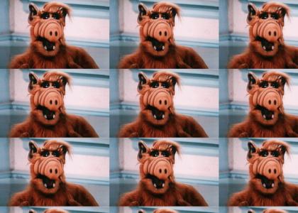 ALF