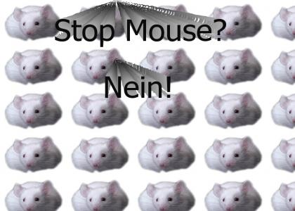 Rise of the Mouse