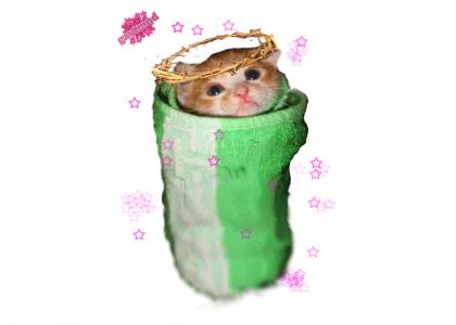 GAYTMND: Burrito Cat