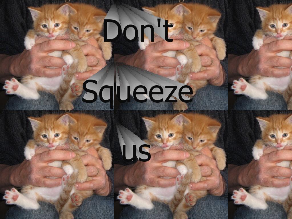 sqweeze