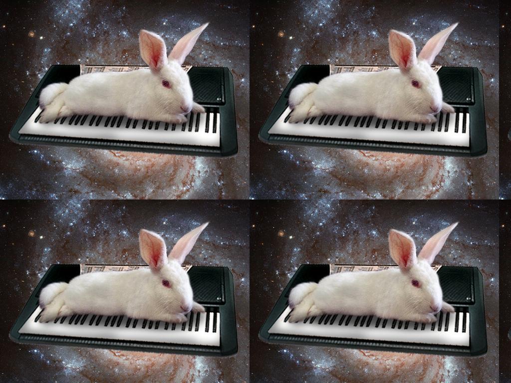 rabbitonakeyboardinspace