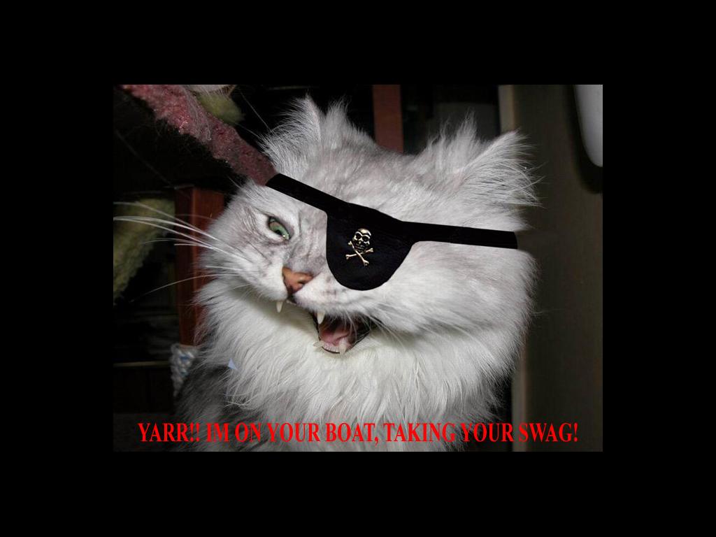 piratekitty