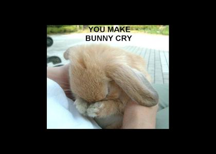 Why You Make Bunny Cry!?