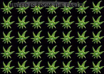 WEED IS FROM THE EARTH