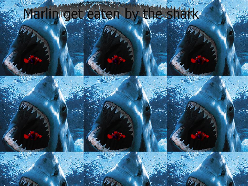 sharkmarlin