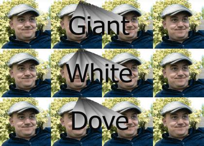 Giant White Dove