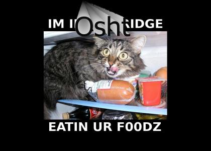 in ur fridge eatin' ur foodz