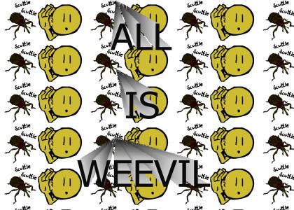 All I see and hear is weevil