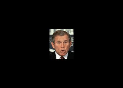 Bush: ualuealuealeuale