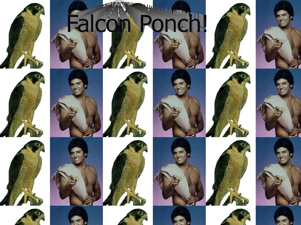 falconponch