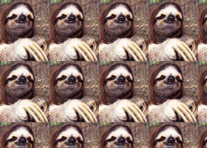 Sloth Speedo