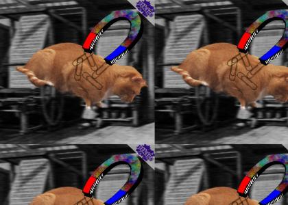 PTKFGS: Magnetism Cat