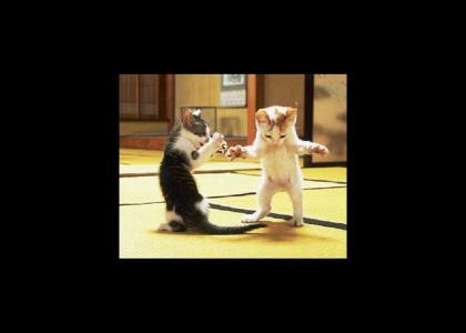 Hey look: Some cats dancing.