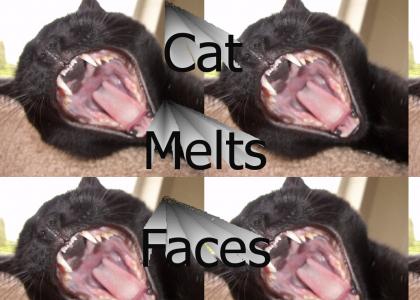 Cat nails a tasty face melter