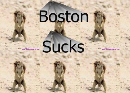 Boston Sucks