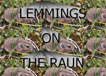 We are the lemmings on the run