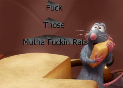 A Fucken Rat