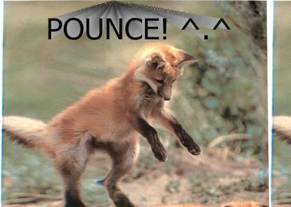 FOX POUNCE!