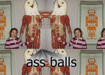 Girl Feels O RLY Owls Skeletons Balls