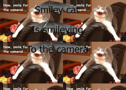 Smiley cat