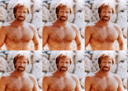 Hi, this is (animated) Chuck Norris...