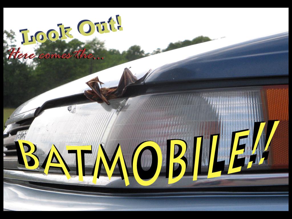 batmobilelol