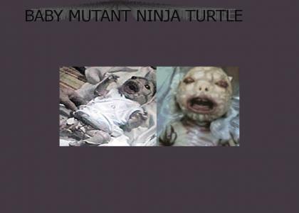 BABY MUTANT NINJA TURTLE!