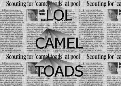 Camel Toads?