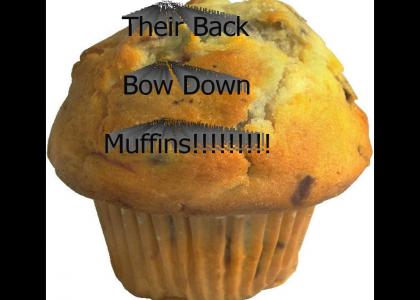 Muffins!!!