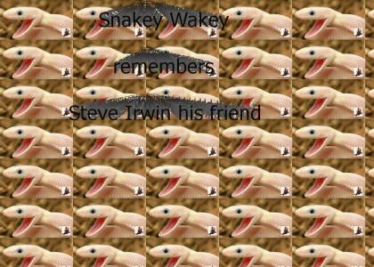 Snakey Wakey remembers....