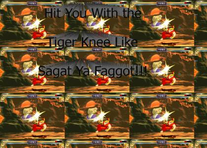 Hit Ya with the Tiger Knee Like Sagat, Ya Faggot!!!