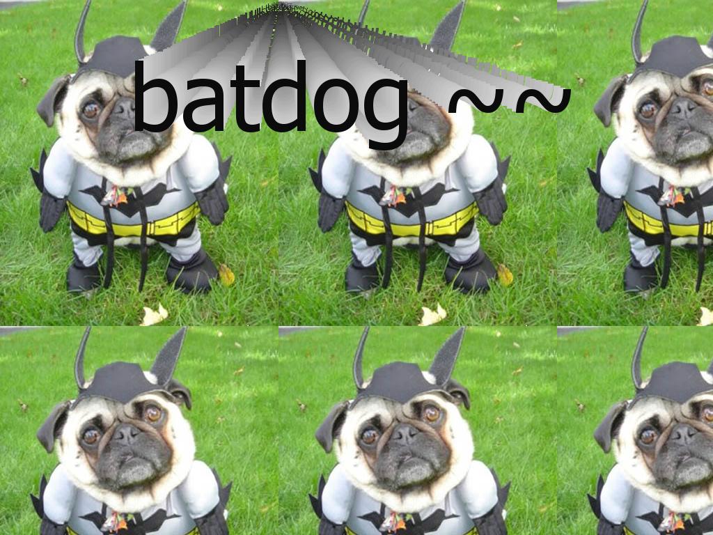 batyourethemannowdog