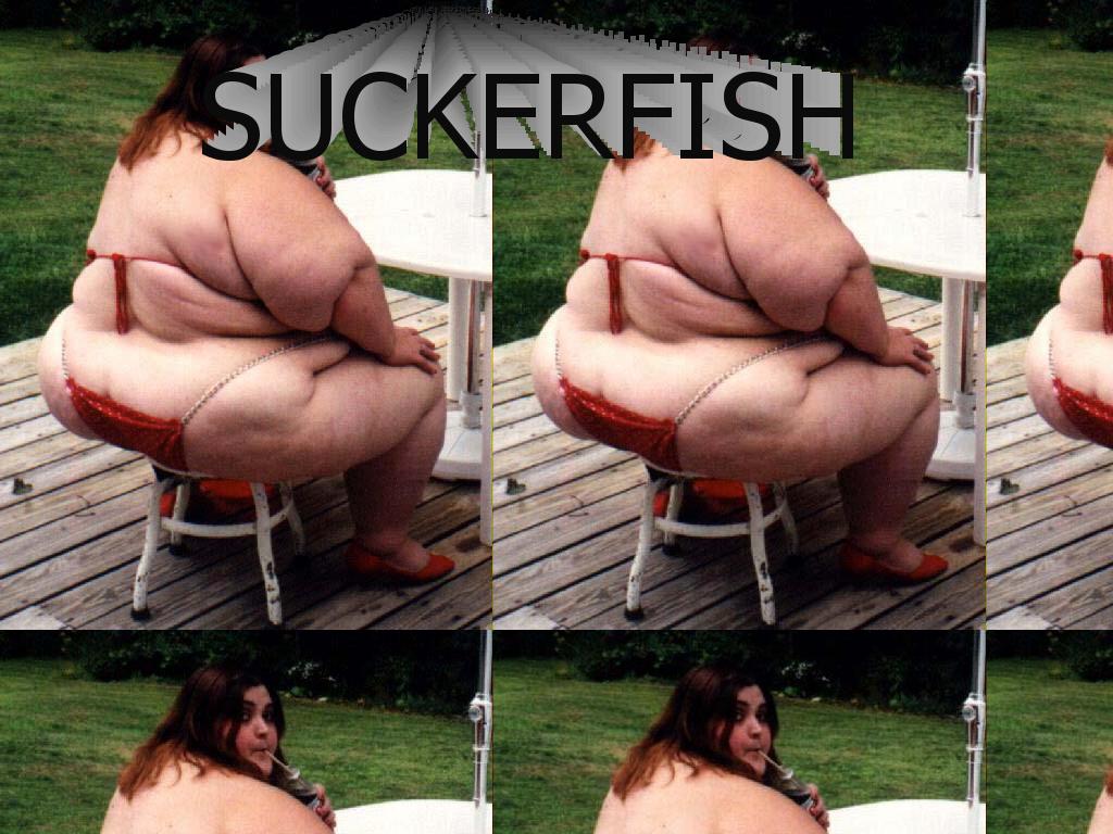 suckerfish