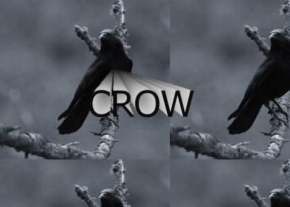 Crow